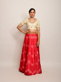 Floral Chevron Shibori Red Lehenga Cape Set with Blouse