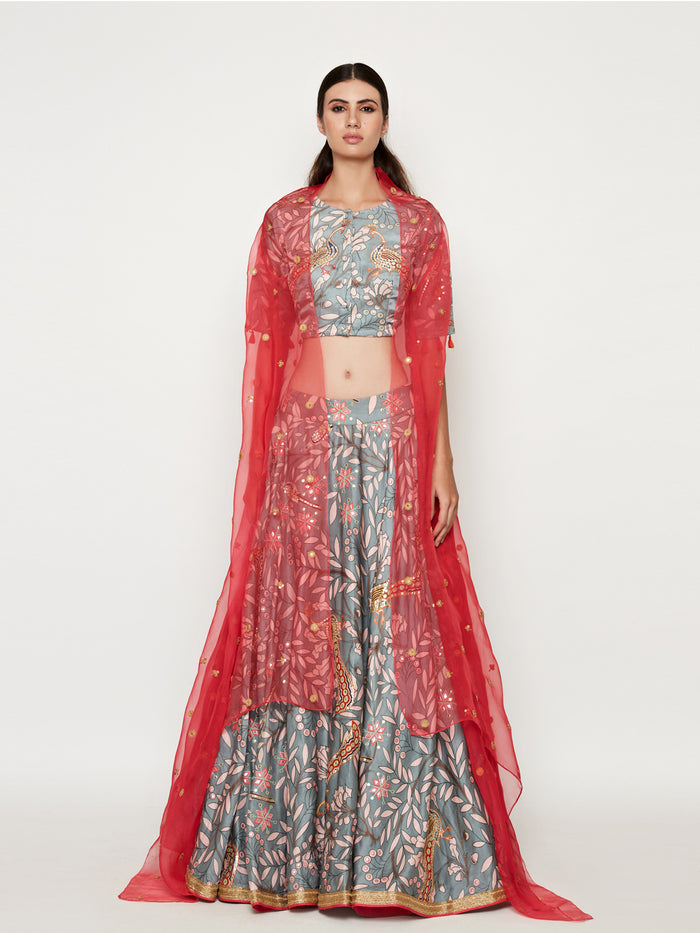 Grey Embroidered Lehenga Crop Top with Pink Cape