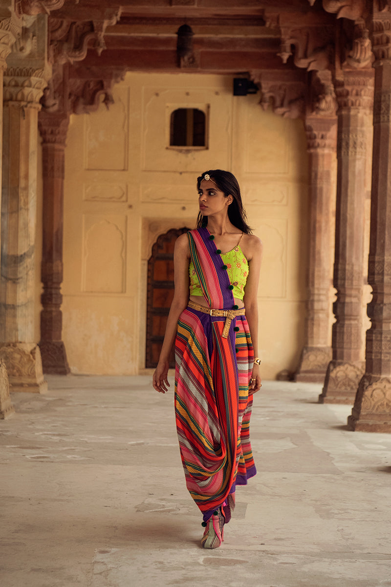 Ranthambore Saree With Pichola Strapy Blouse