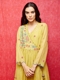 Yellow Multi Embroidered Chanderi Dress