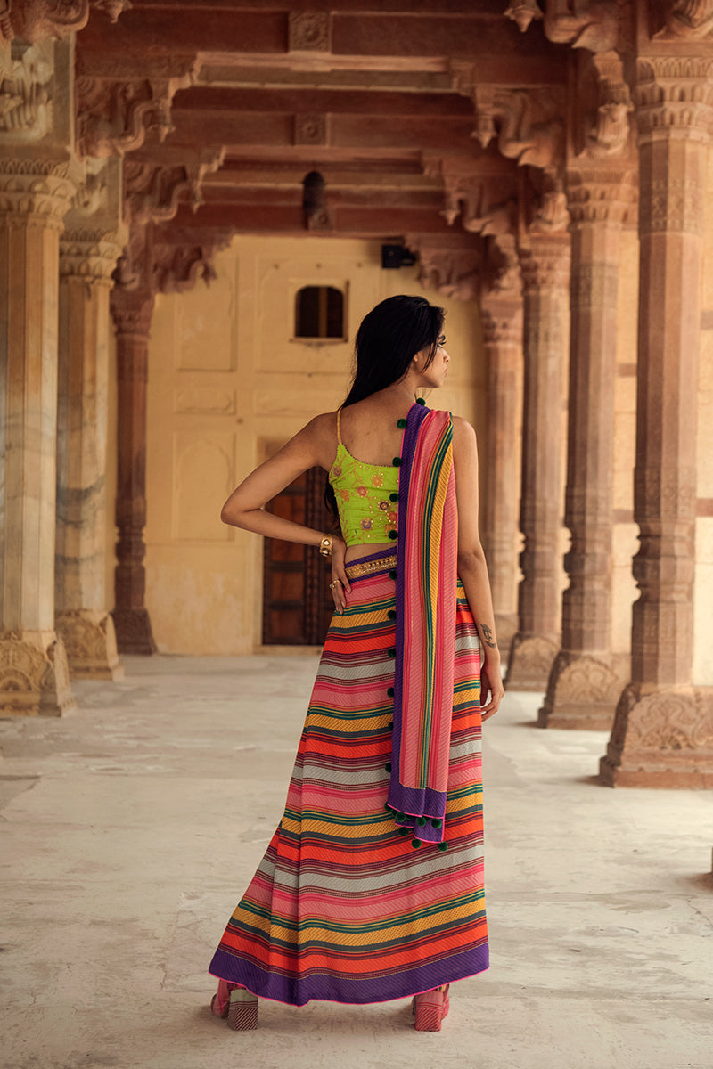 Ranthambore Saree With Pichola Strapy Blouse