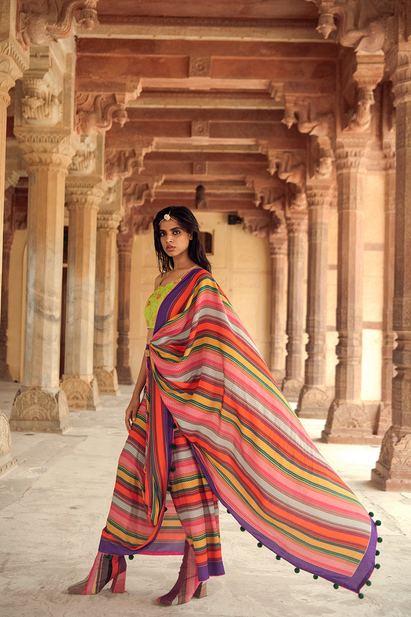 Ranthambore Saree With Pichola Strapy Blouse