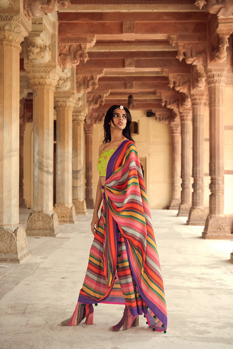 Ranthambore Saree With Pichola Strapy Blouse