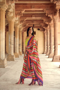 Ranthambore Saree With Pichola Strapy Blouse