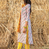 Printed Diagonal Grey Chanderi Straight Kurta