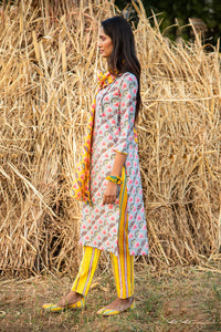 Printed Diagonal Grey Chanderi Straight Kurta