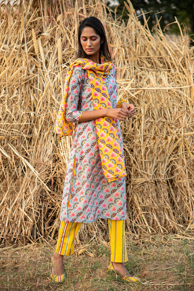 Printed Diagonal Grey Chanderi Straight Kurta
