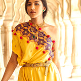 Yellow & Purple Appliqué Hand-Embroidered Cape Set