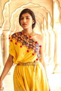 Yellow & Purple Appliqué Hand-Embroidered Cape Set