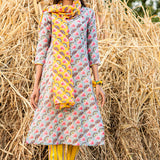 Printed Diagonal Grey Chanderi Straight Kurta