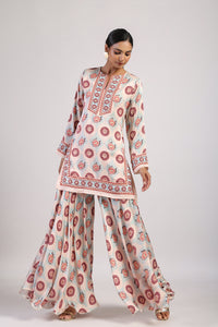 Aqua Printed Embroidered Sharara Set