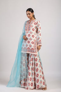 Aqua Printed Embroidered Sharara Set