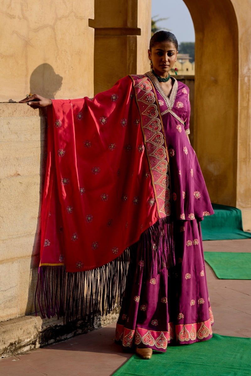 Jantar Mantar Plum Sharara set