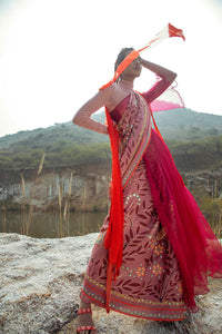 Morbagh Rose Pink Peacock Saree With Blouse