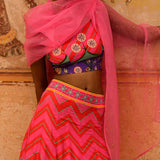 Mastani Silk & Organza Lehenga With Dupatta