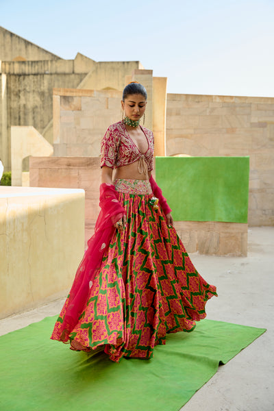 Panna Printed Embroidered Lehenga Set