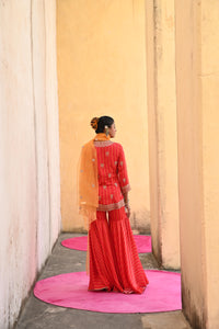 Scarlet Printed Embroidered Sharara Set