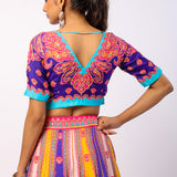 Vaani Embroidered Printed Lehenga Set With Dupatta