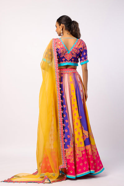 Vaani Embroidered Printed Lehenga Set With Dupatta