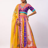 Vaani Embroidered Printed Lehenga Set With Dupatta