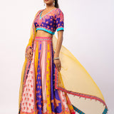 Vaani Embroidered Printed Lehenga Set With Dupatta