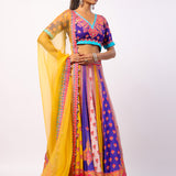 Vaani Embroidered Printed Lehenga Set With Dupatta
