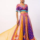 Vaani Embroidered Printed Lehenga Set With Dupatta