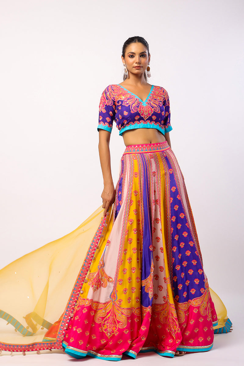 Vaani Embroidered Printed Lehenga Set With Dupatta