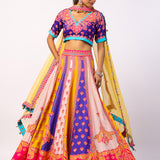 Vaani Embroidered Printed Lehenga Set With Dupatta