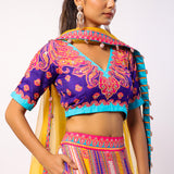 Vaani Embroidered Printed Lehenga Set With Dupatta