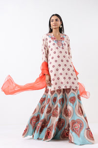Ivory & Aqua Printed Embroidered Sharara Set