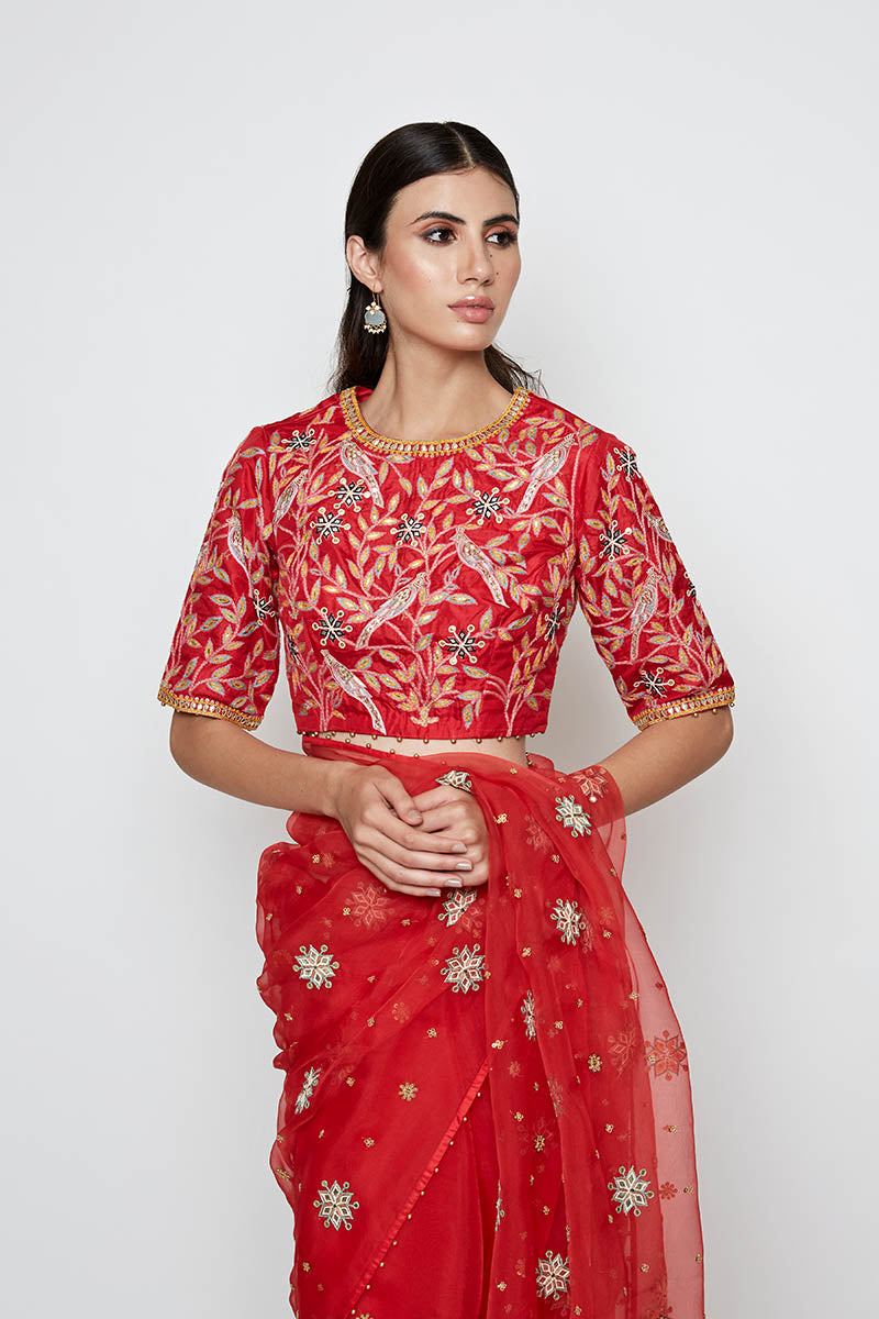 Festive Red Organza Saree with Embroidery