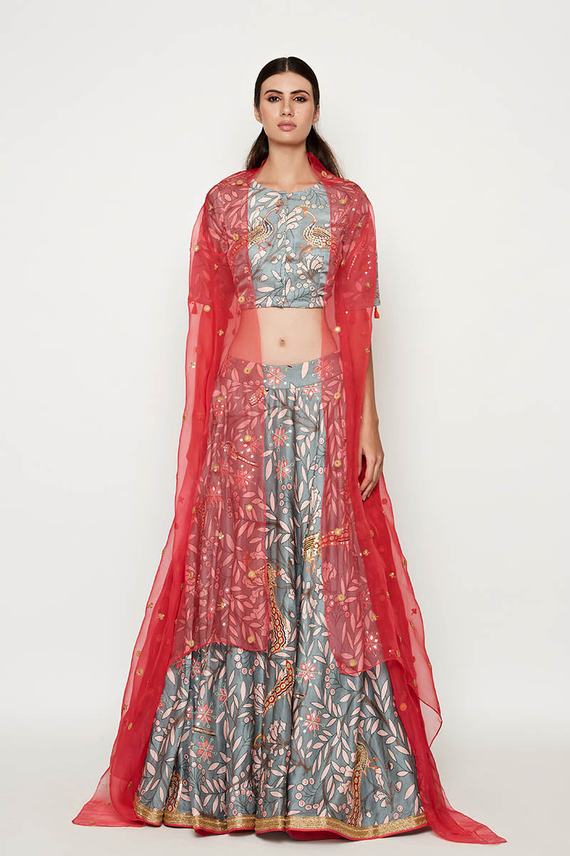 Morbagh Grey Embroidered Lehenga Crop Top With Pink Cape