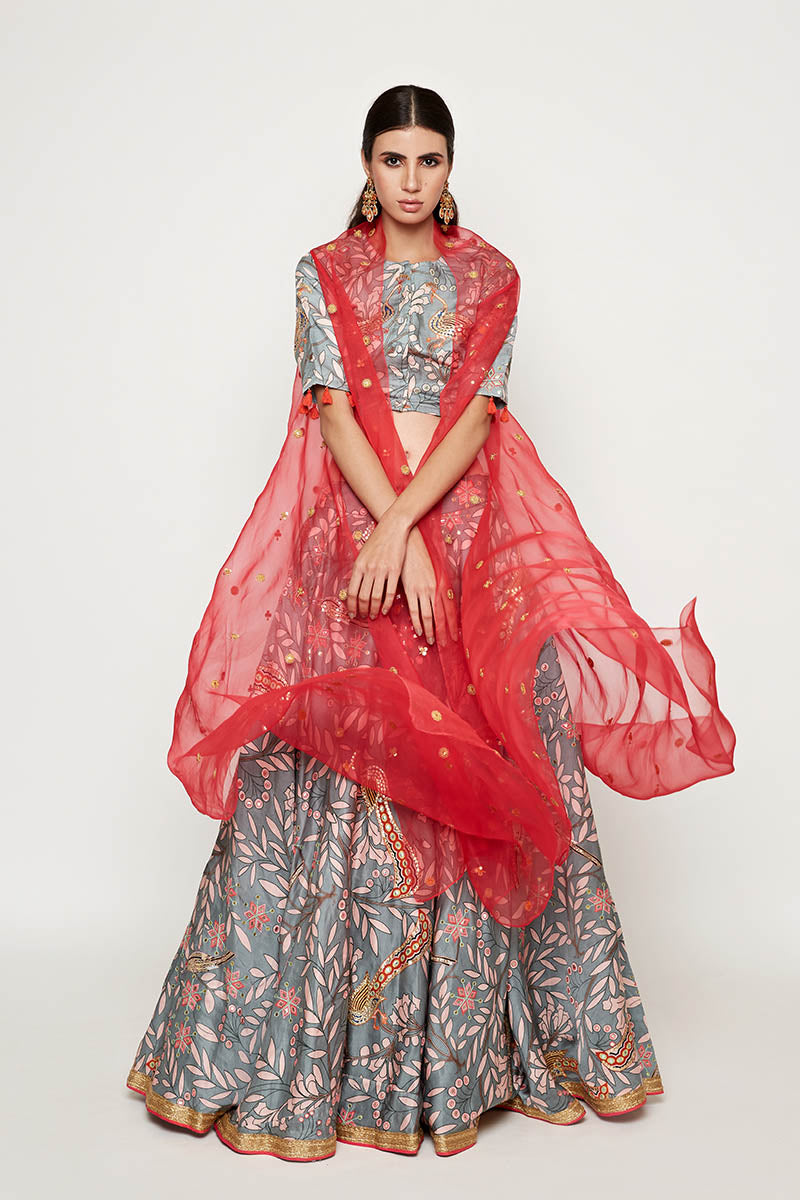 Morbagh Grey Embroidered Lehenga Crop Top With Pink Cape