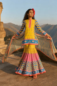 Hand-Embroidered Multi-Print Silk Sharara Set