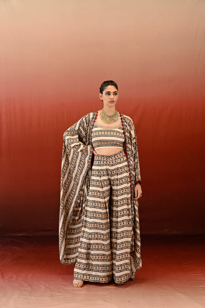 Paisley Printed Embroidered Pleated Pants with Cape Set