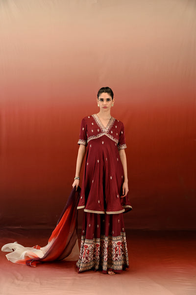 Paisley Printed Embroidered Raat Rani Sharara Set