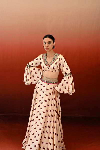 Paisley Printed Embroidered Veena Lehenga set