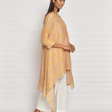 Blush Printed Embroidered Asymmetrical Kurta Set