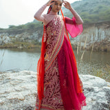 Morbagh Rose Pink Peacock Saree With Blouse
