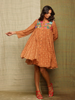 Rose Brown Embroidered Dress