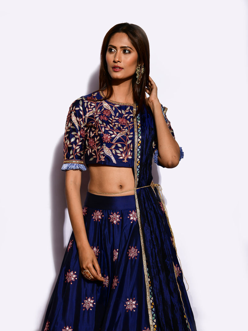 Morbagh Embroidered Lehenga with Blouse and Crushed Dupatta