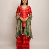 Patang Rust & Sage Embroidered Shibori Sharara Set