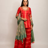 Patang Rust & Sage Embroidered Shibori Sharara Set