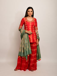 Patang Rust & Sage Embroidered Shibori Sharara Set