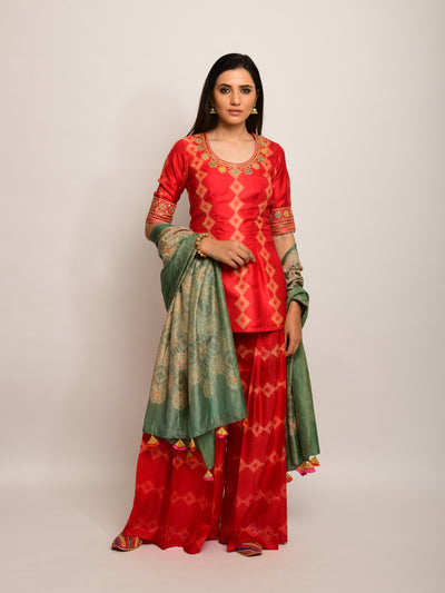Patang Rust & Sage Embroidered Shibori Sharara Set