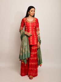 Patang Rust & Sage Embroidered Shibori Sharara Set