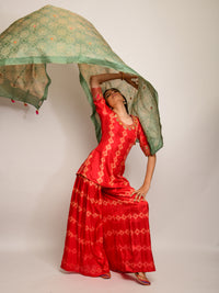 Patang Rust & Sage Embroidered Shibori Sharara Set