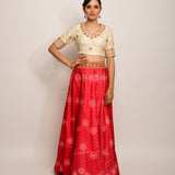 Floral Chevron Shibori Red Lehenga Cape Set with Blouse